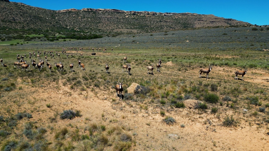 0 Bedroom Property for Sale in Lady Grey Eastern Cape